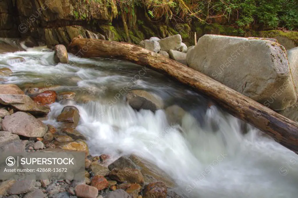 Water tumbing over rocks and logs along Bear Creek the shore of Harrison Lake, Harrison Hot Springs, BC, Canada