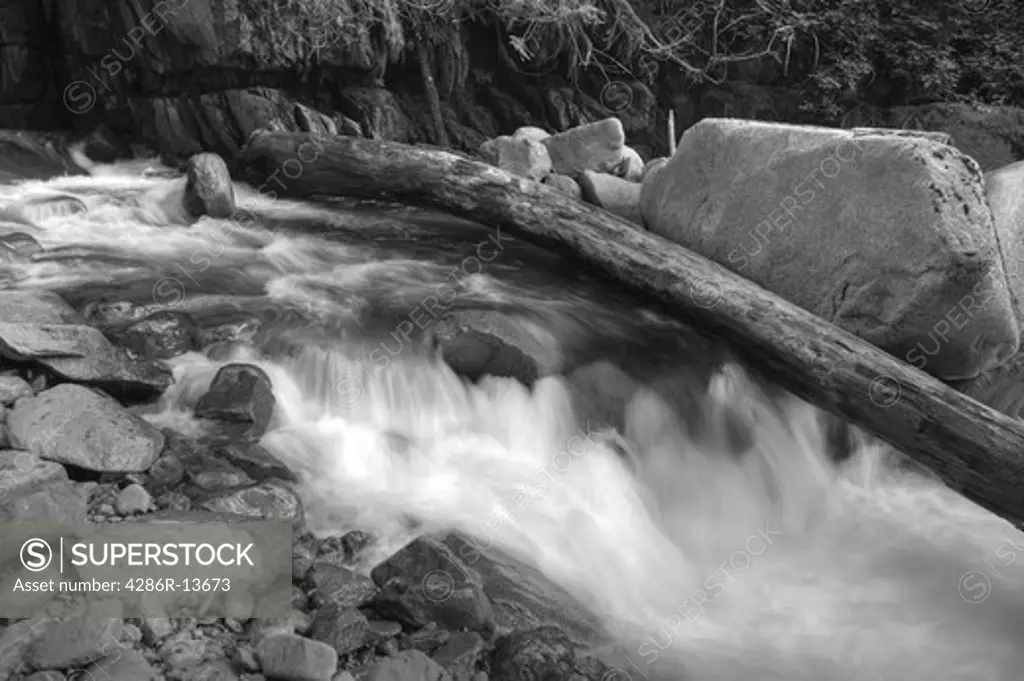 Water tumbling over stones and logs. Bear Creek the shore of Harrison Lake, Harrison Hot Springs, BC, Canada