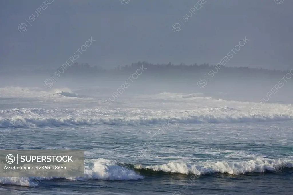 Mist and waves, winter in Pacific Rim National Park, Vancouver Island, British Columbia