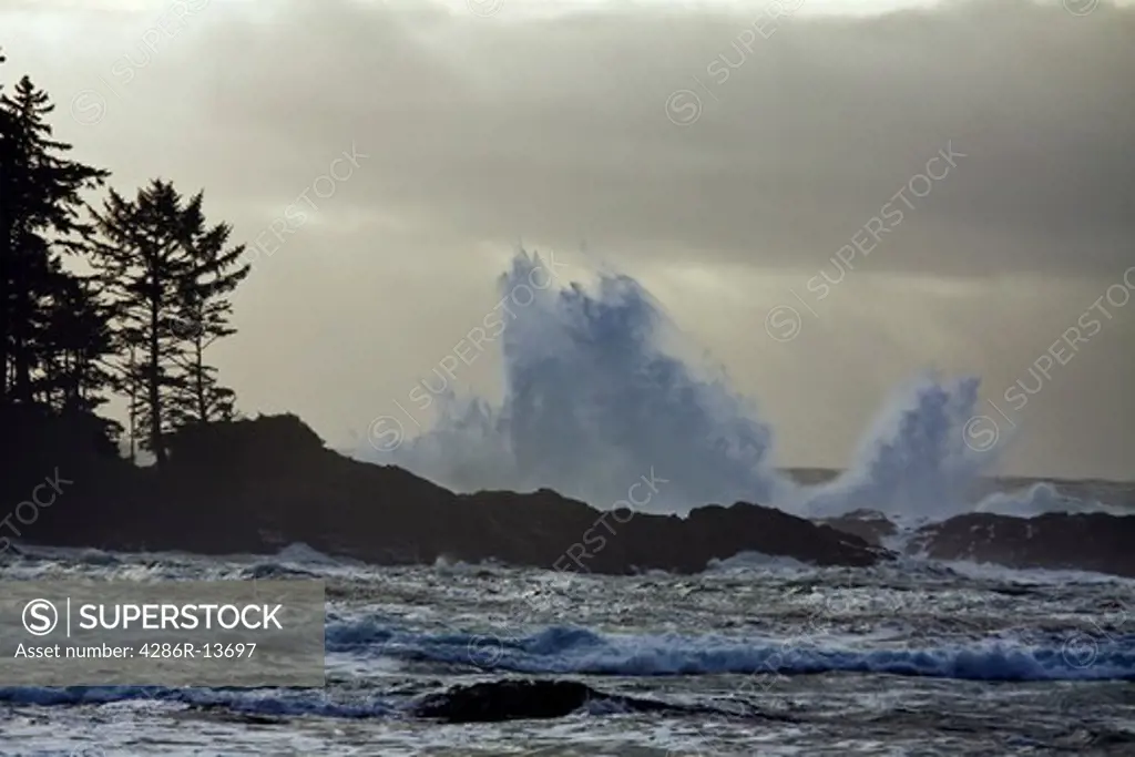 Large waves crash along the shoreline, Pacific Rim National Park, Vancouver Island, British Columbia