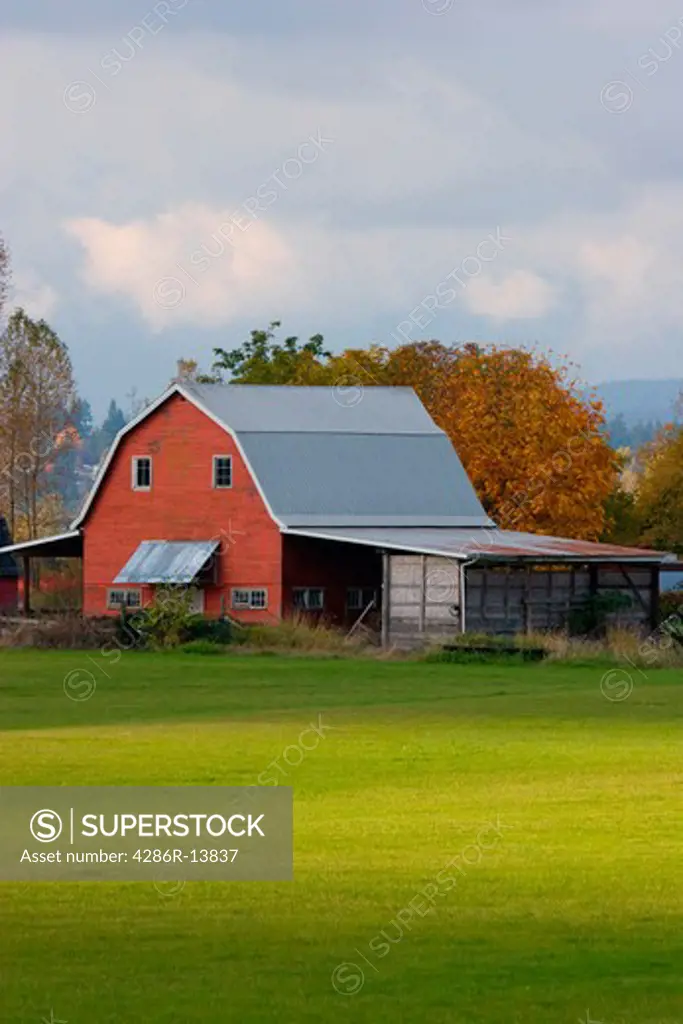 Classic Red Barn and buidings in autumn, Pitt Meadows, BC, Canada