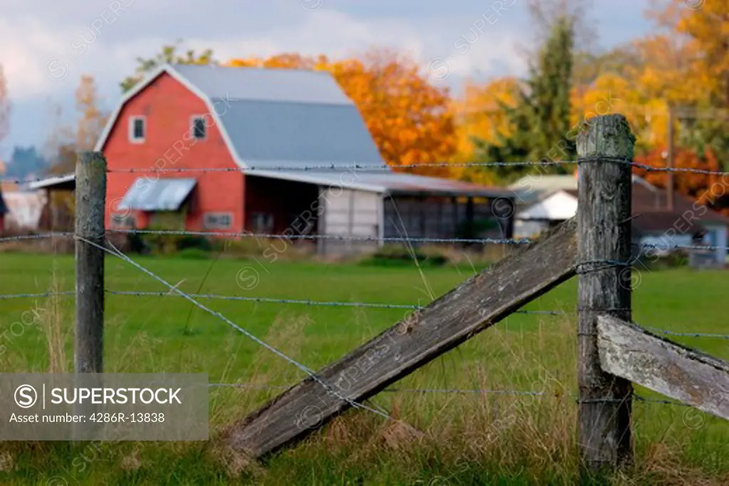 Rustic barbed wire fence with classic Red Barn and buidings behind, Pitt Meadows, BC, Canada