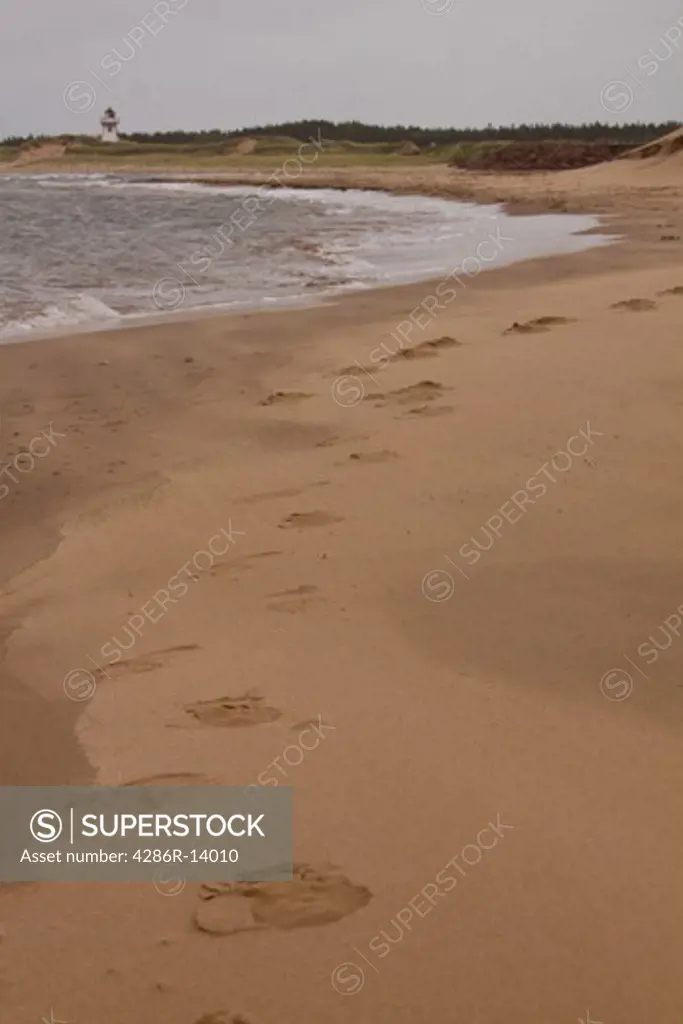 Footprints leading through the shifting blowing sand with lighthouse in the background, Prince Edward Island National Park, on the north shore of Prince Edward Island, Canada