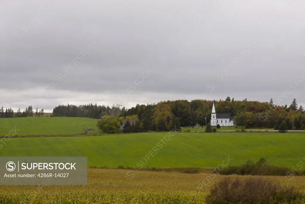 PEI rural scene, with cornfield and white church in the background, Queens County, Prince Edward Island, Canada