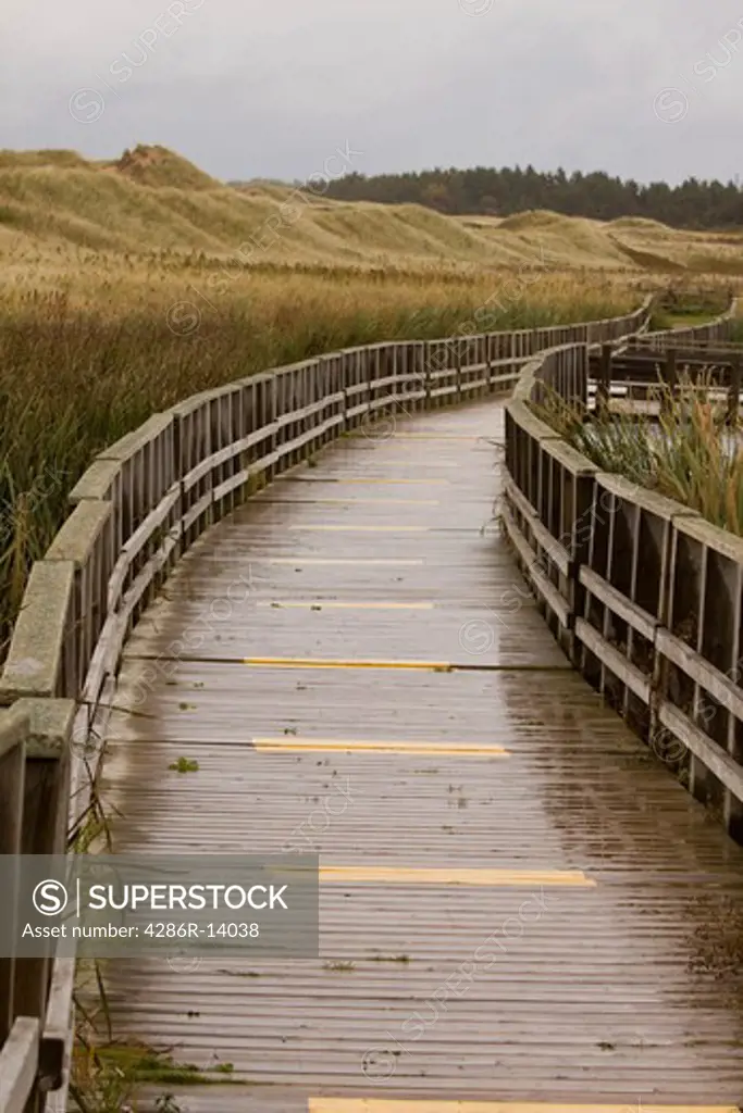 Cavendish Dunes trail, Prince Edward Island National Park, on the north shore of Prince Edward Island, Canada