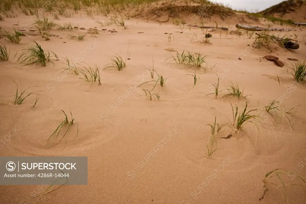 Wind and grasses create natural patterns in the sand. Prince Edward Island National Park, on the north shore of Prince Edward Island, Canada
