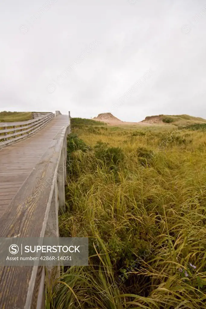Cavendish Dunes Trail boardwalk, Prince Edward Island National Park, on the north shore of Prince Edward Island, Canada