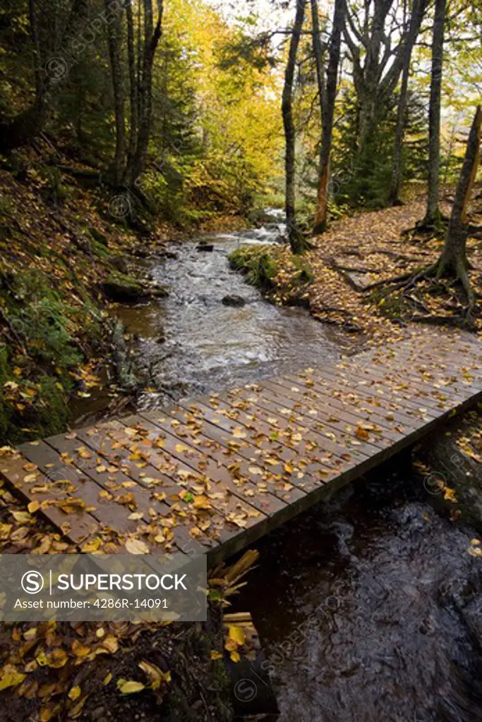 Man made bridge over autumn stream, Fundy National Park, New Brunswick, Canada