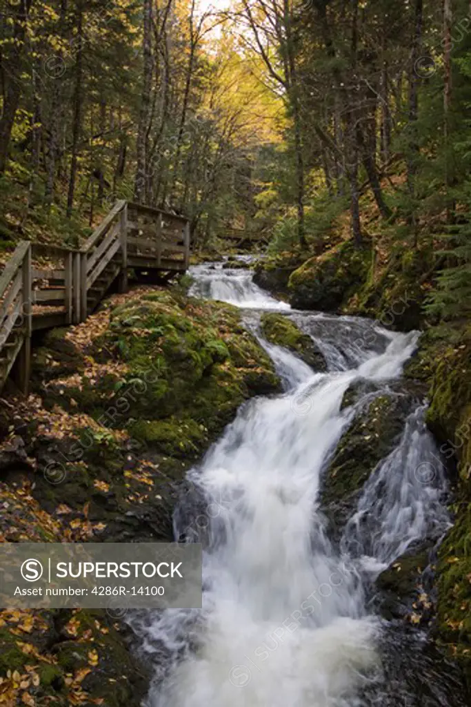 Beautiful Dickson Falls frlows through autumn forest, Fundy National Park, New Brunswick, Canada