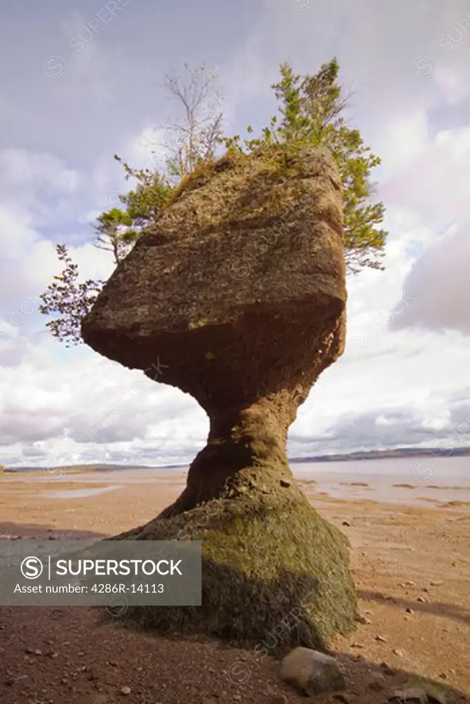 Flower Pot rock that is almost completely eroded, Hopewell Rocks, Bay of Fundy, New Brunswick, Canada