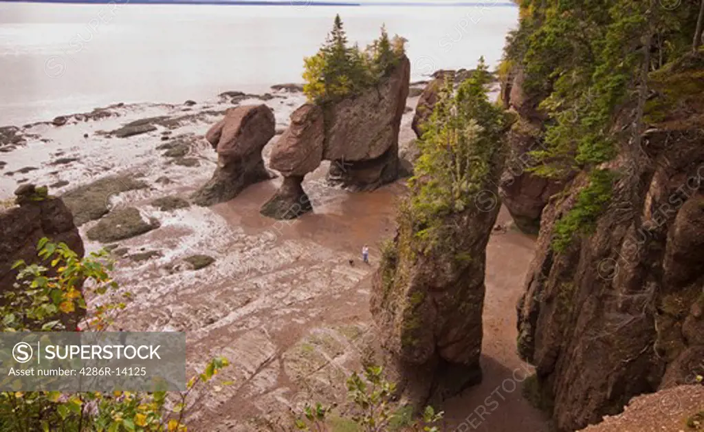 View of rock formations at low tide, Hopewell Rocks, Bay of Fundy, New Brunswick, Canada