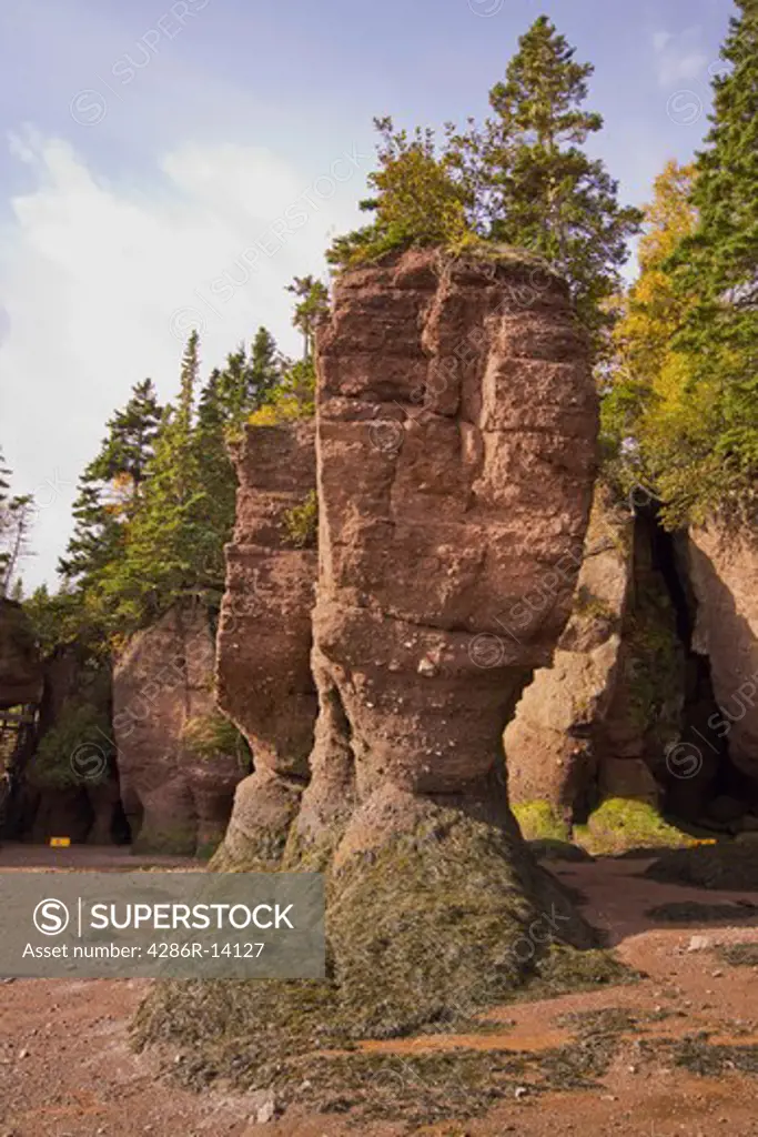 Flower Pot Rocks at low tide, Hopewell Rocks, Bay of Fundy, New Brunswick, Canada