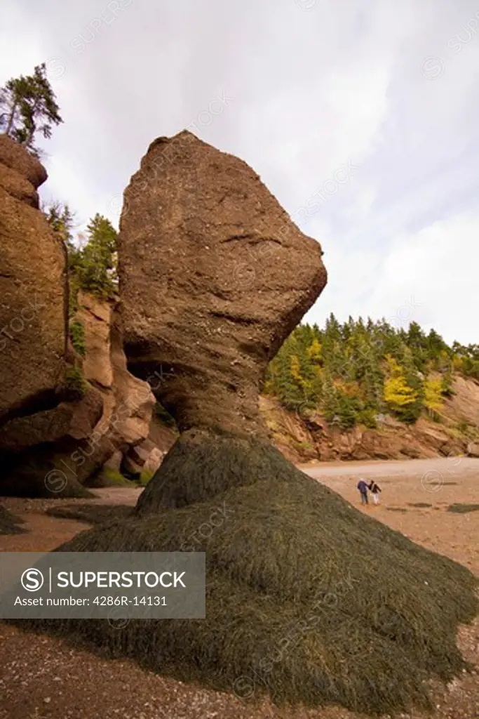Sea stack that is almost completely eroded, Hopewell Rocks, Bay of Fundy, New Brunswick, Canada