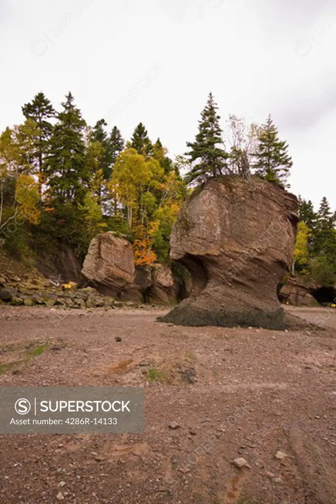 Apple Rock, Hopewell Rocks, Bay of Fundy, New Brunswick, Canada