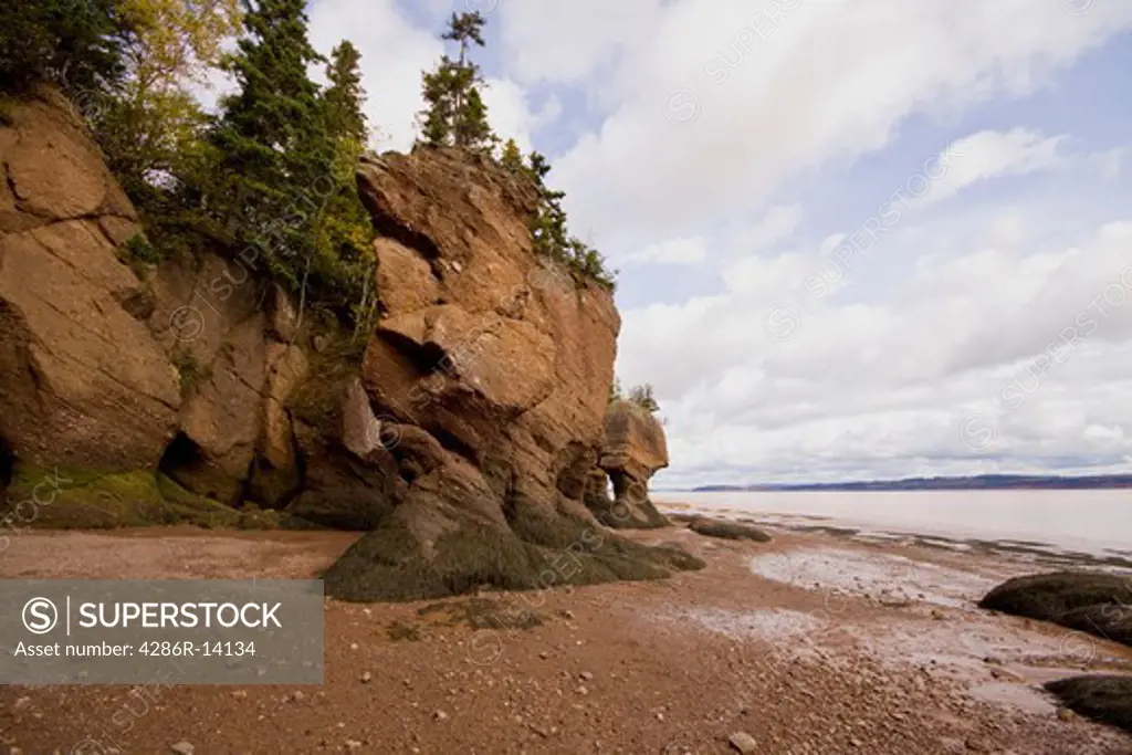 Flower Pot rocks including ET Rock and Motherinlaw, Hopewell Rocks, Bay of Fundy, New Brunswick, Canada