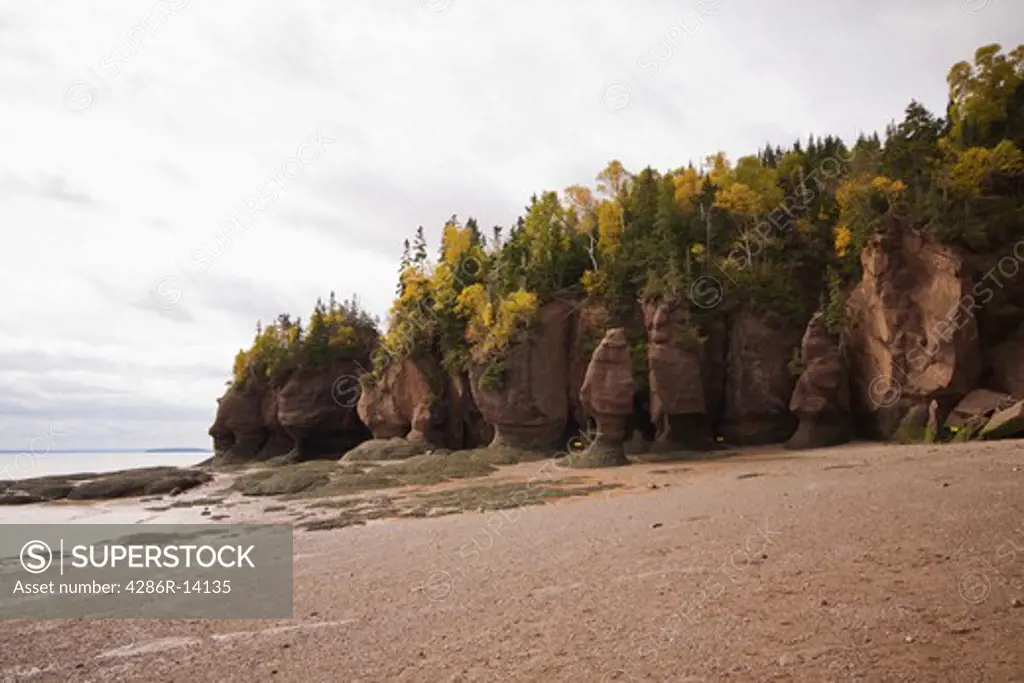 Beach with receding tide and rock fromations, Hopewell Rocks, Bay of Fundy, New Brunswick, Canada