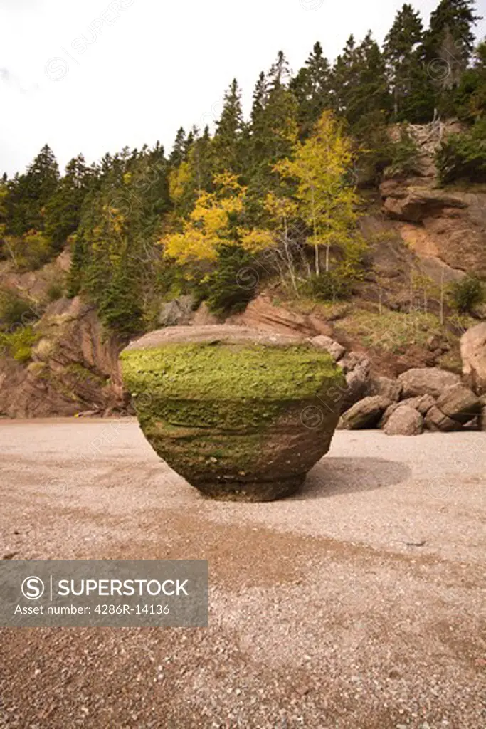 Single flower pot shaped rock, Hopewell Rocks, Bay of Fundy, New Brunswick, Canada