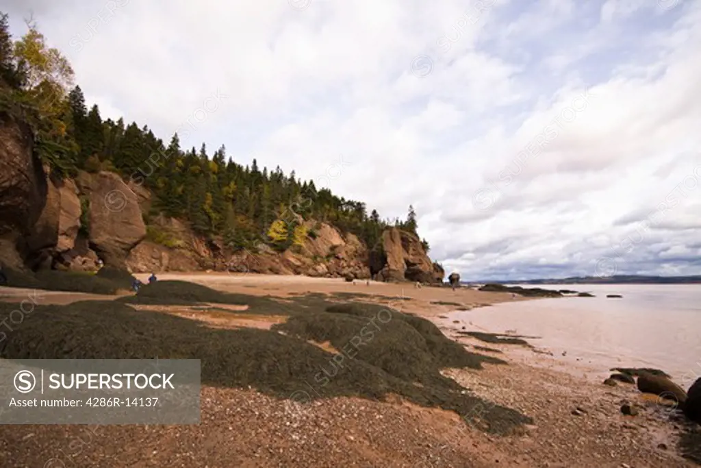 Wide angle, Hopewell Rocks, Bay of Fundy, New Brunswick, Canada