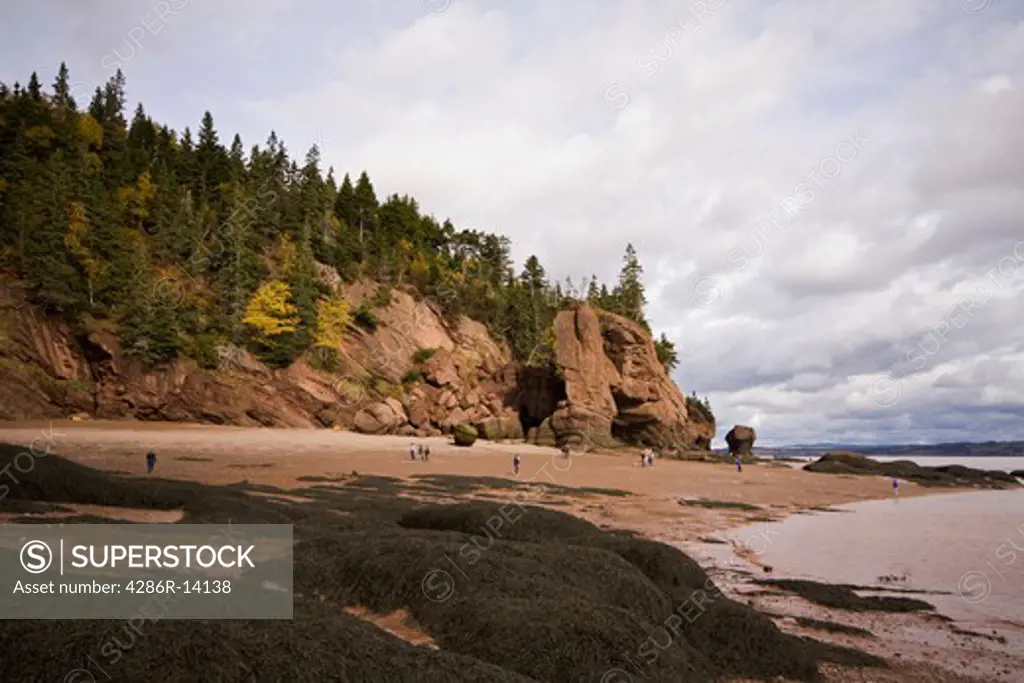 Tourists enjoy the beach at low tide, Hopewell Rocks, Bay of Fundy, New Brunswick, Canada