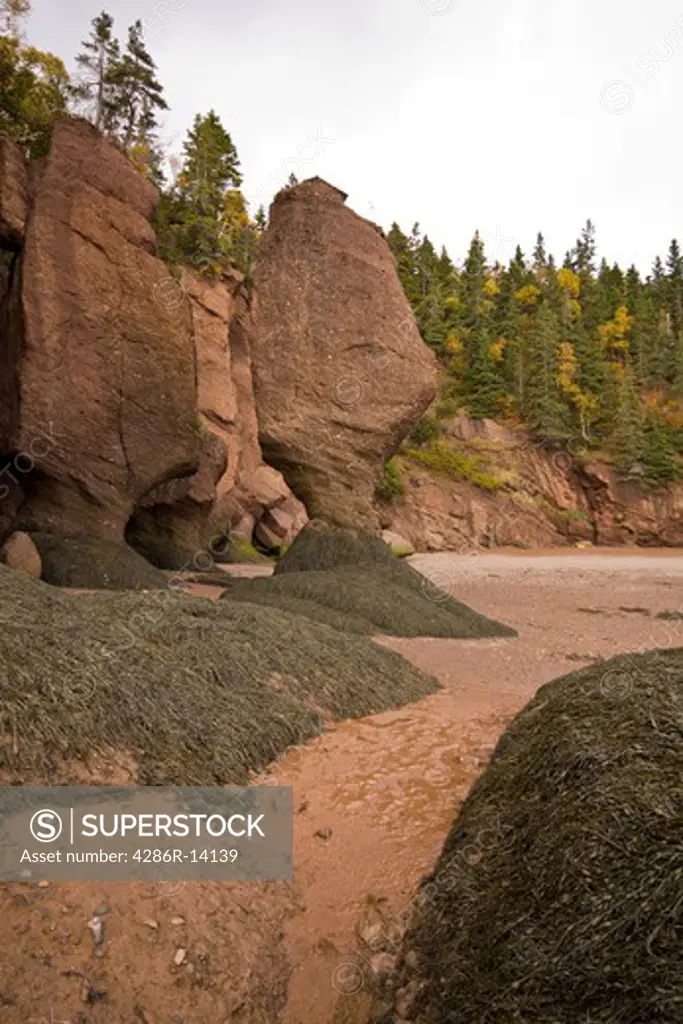 Interesting rock formations and reddish mud, Hopewell Rocks, Bay of Fundy, New Brunswick, Canada