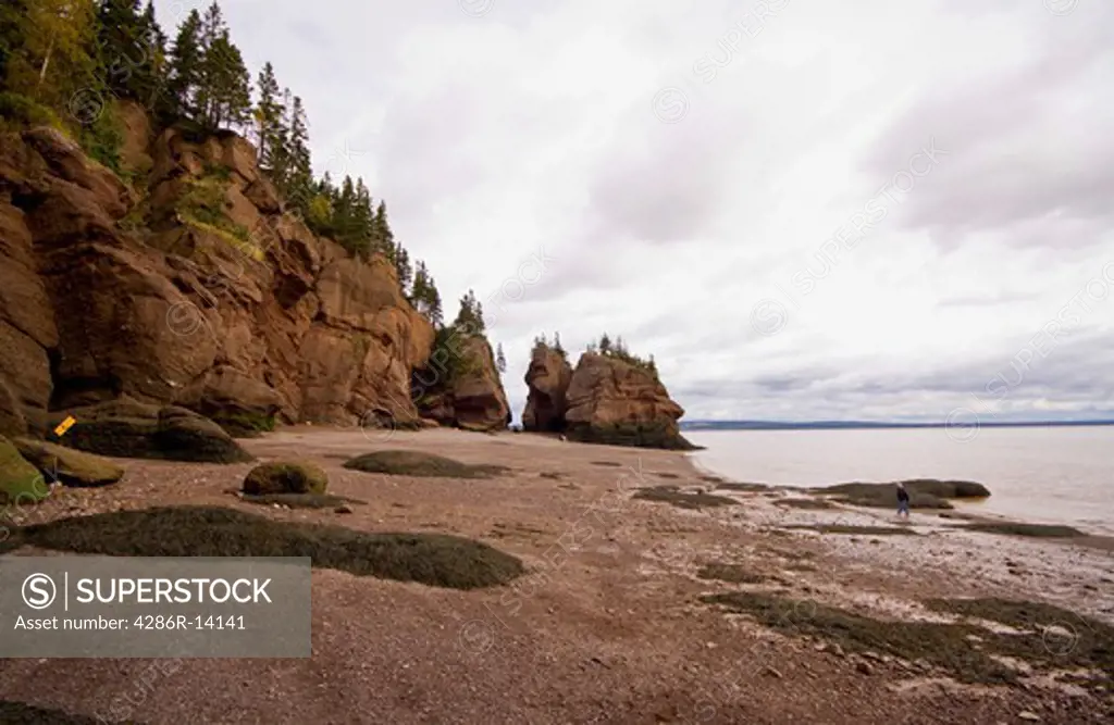 Low tide at Hopewell Rocks, Bay of Fundy, New Brunswick, Canada