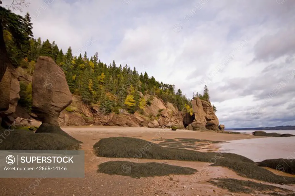 Beach and sedimentary rock formations, Hopewell Rocks, Bay of Fundy, New Brunswick, Canada