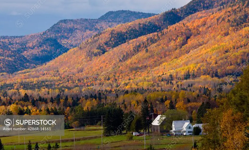 Spectacular fall colors in rural Gaspe Peninsula Quebec, Canada.