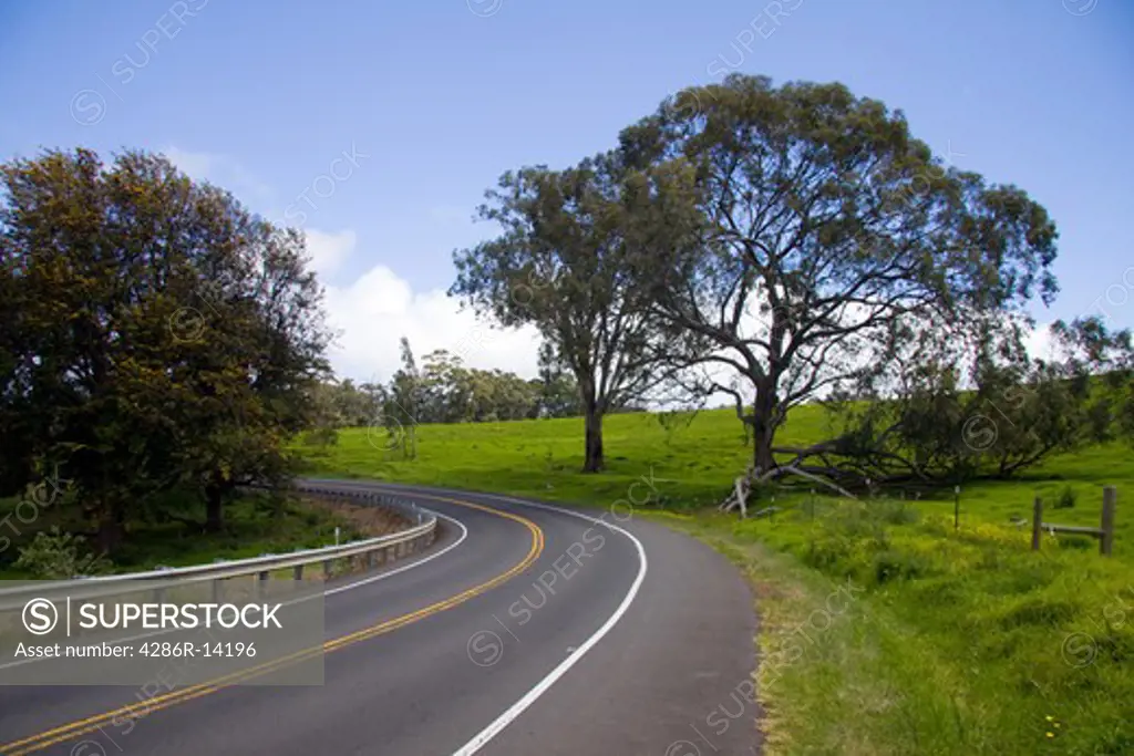 Beautiful twist in the road along the Haleakala Highway, Maui