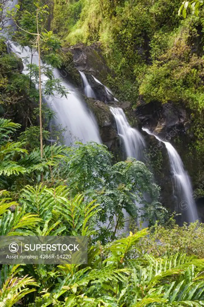 Waikani Falls, in lush jungle, on the road to Hana, Maui, Hawaii