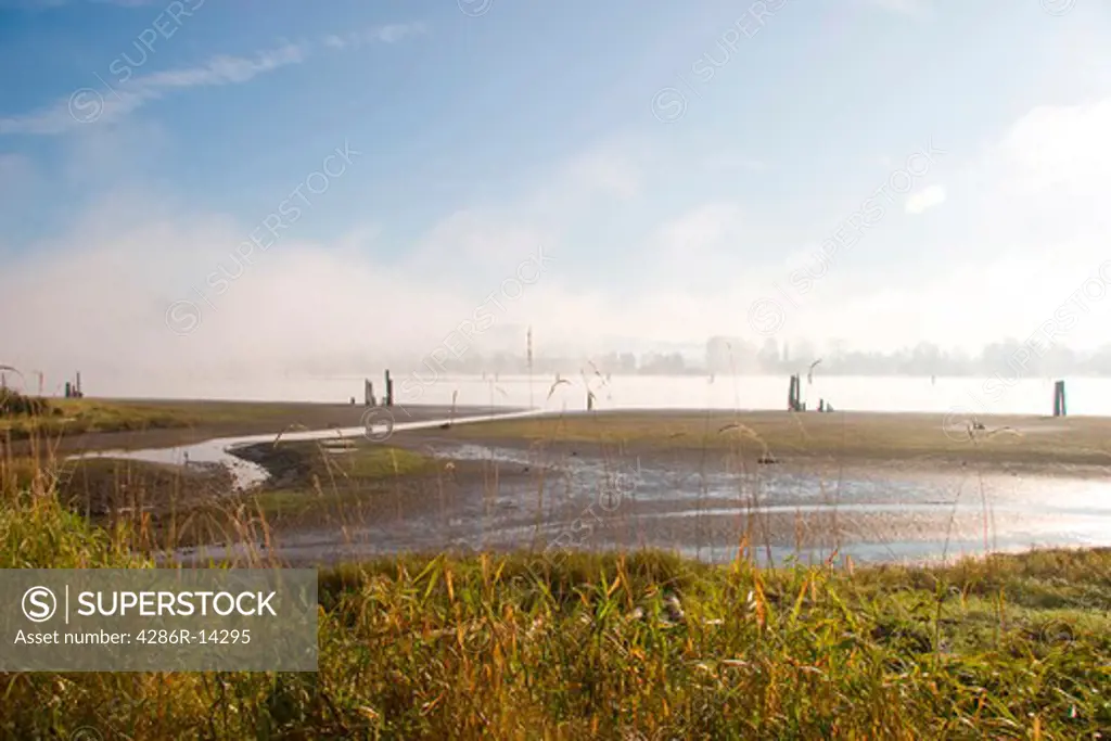 Early morning fog lifiting on the tidal Pitt River, Port Coquitlam, BC, Canada