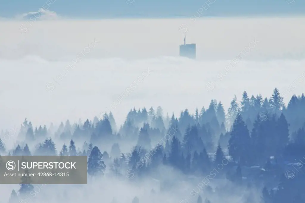 Coquitlam, Surrey and the Fraser Valley shrouded in fog from Westwood Plateau