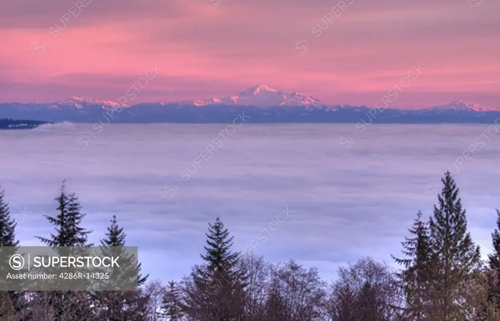 Up above Vancouver and the Fraser Valley shrouded in fog - Mount Baker and the Cascade range visible above the clouds