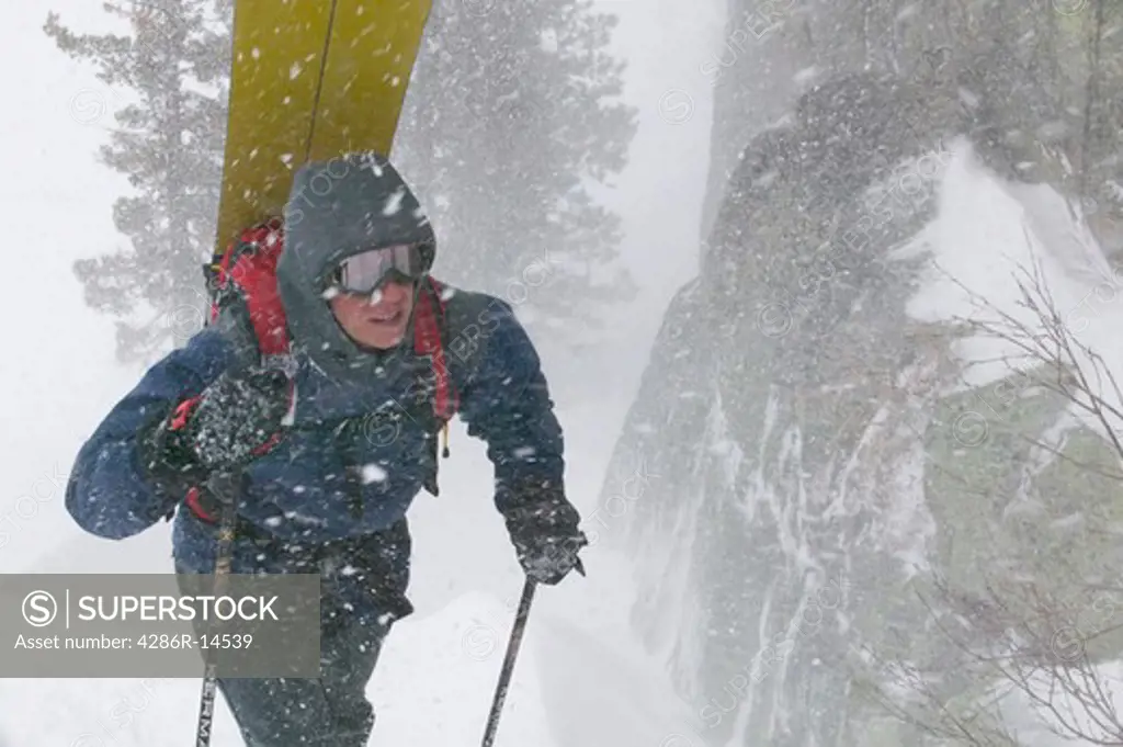 A snowboarder hiking in a storm in the Sierra Mountains of CA.
