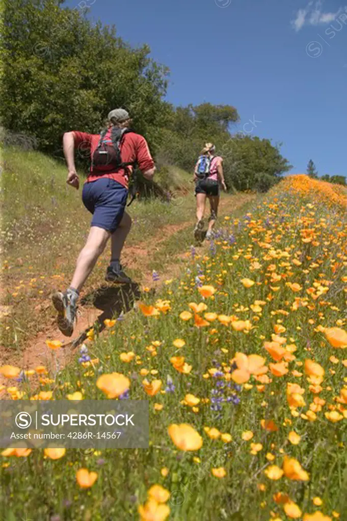 A man and woman running in spring on a trail lined with flowers near Auburn, CA.