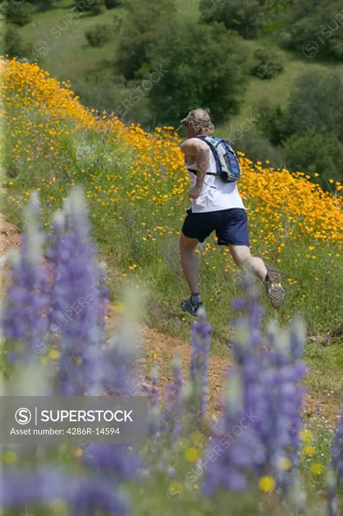 A man running in spring on a trail lined with flowers near Auburn, CA.