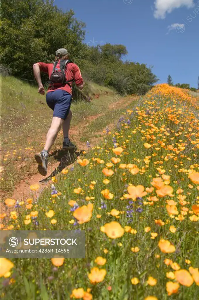 A man running in spring on a trail lined with flowers near Auburn, CA.