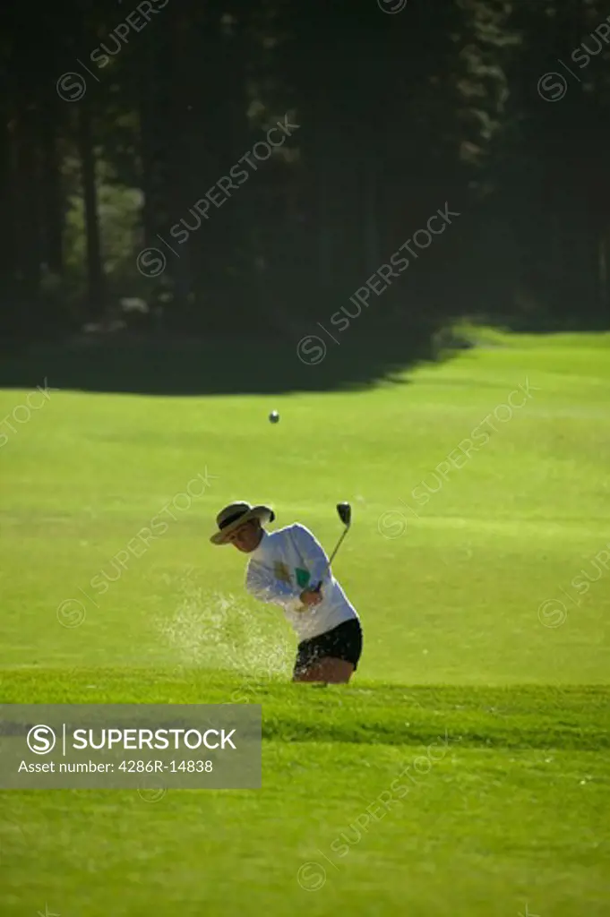 A woman hitting out of a sandtrap on the Championship golf course in Incline Village, NV.