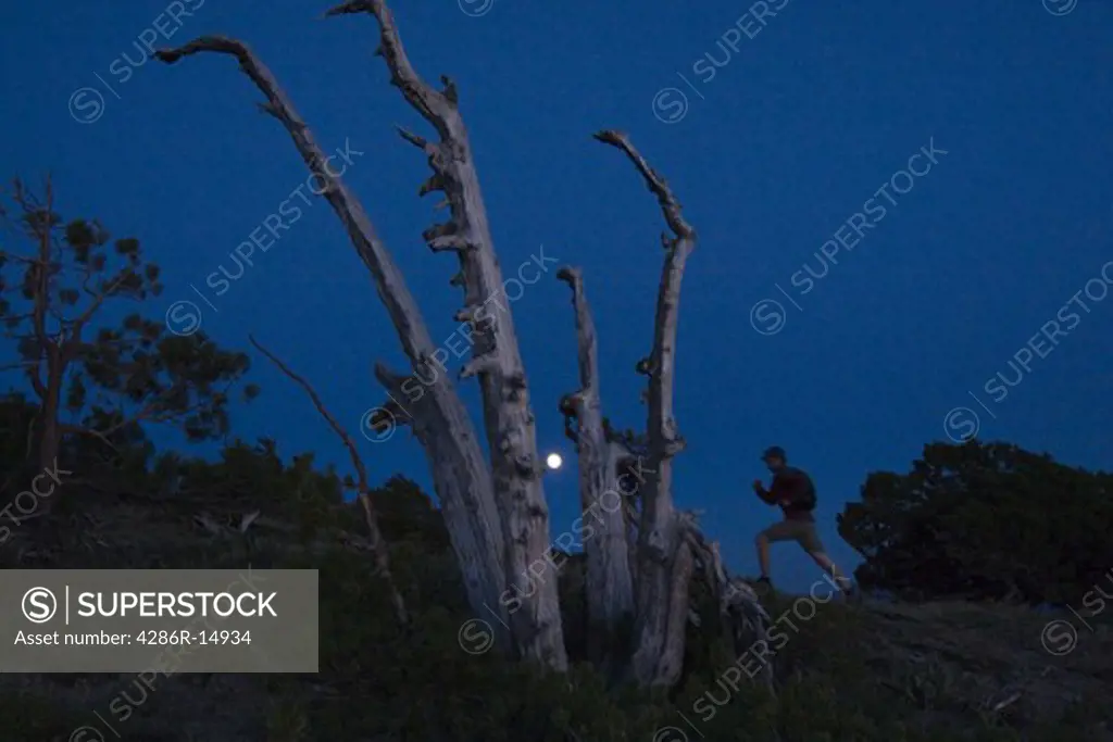 A man running and the full moon on the Tahoe Rim Trail above Lake Tahoe in California