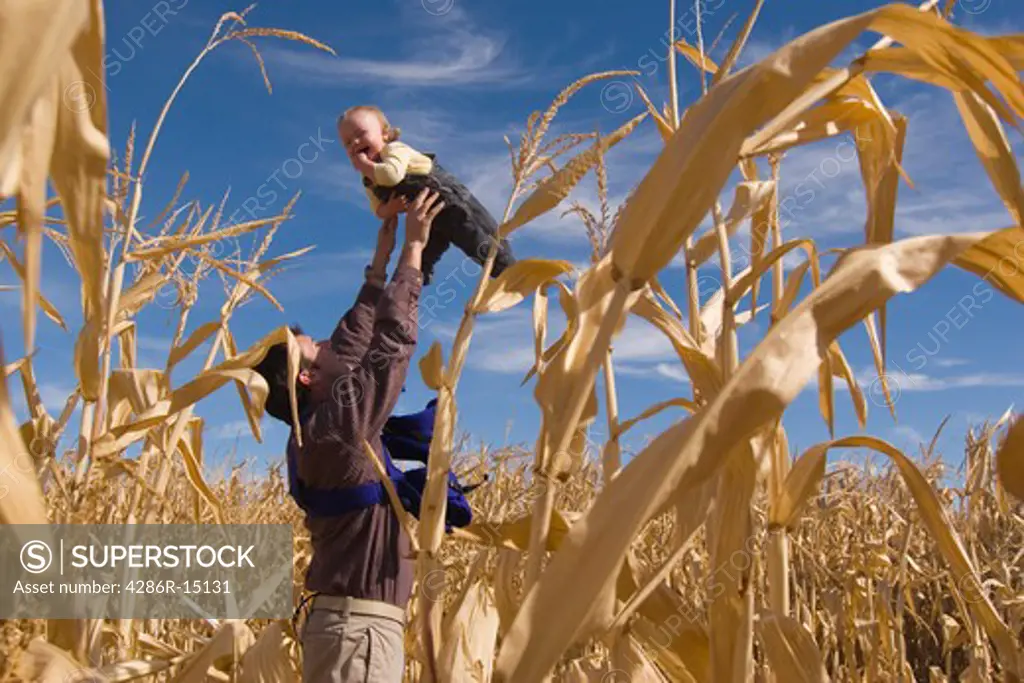 A father and daughter playing in a corn field in Fallon Nevada