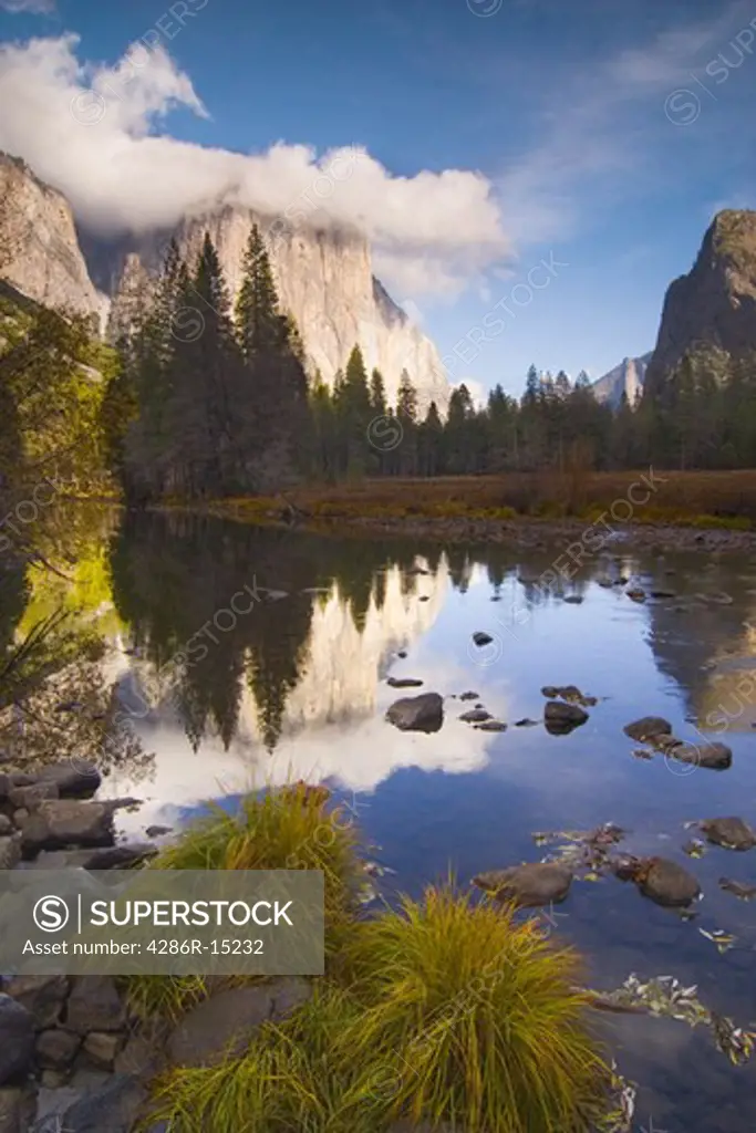 El Capitan reflecting in the Merced River in Yosemite Valley in Yosemite National Park