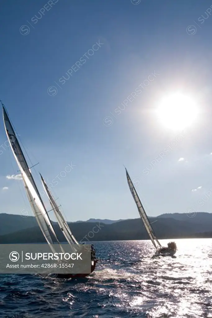 Sailboats on Lake Tahoe during a race