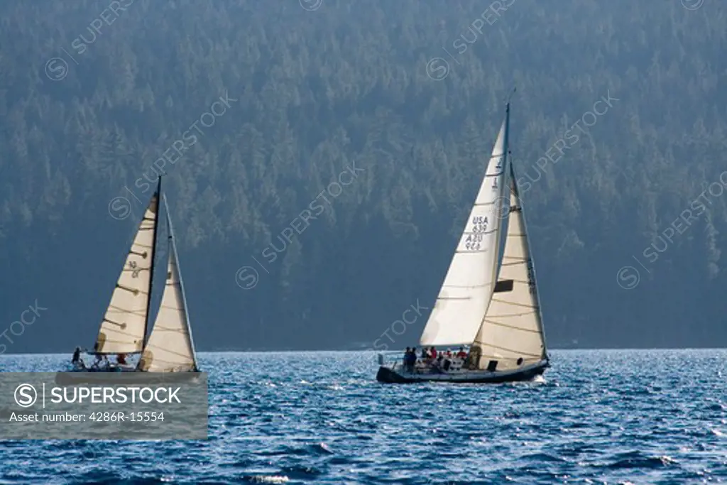 Sailboats on Lake Tahoe backlit during a race