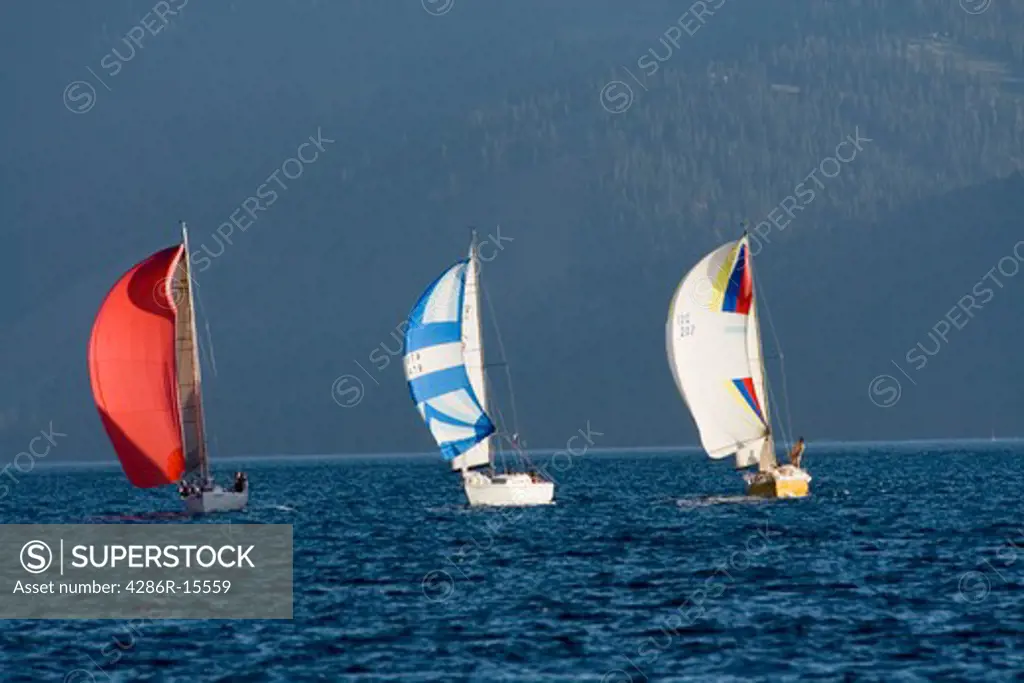 Sailboats on Lake Tahoe during a race