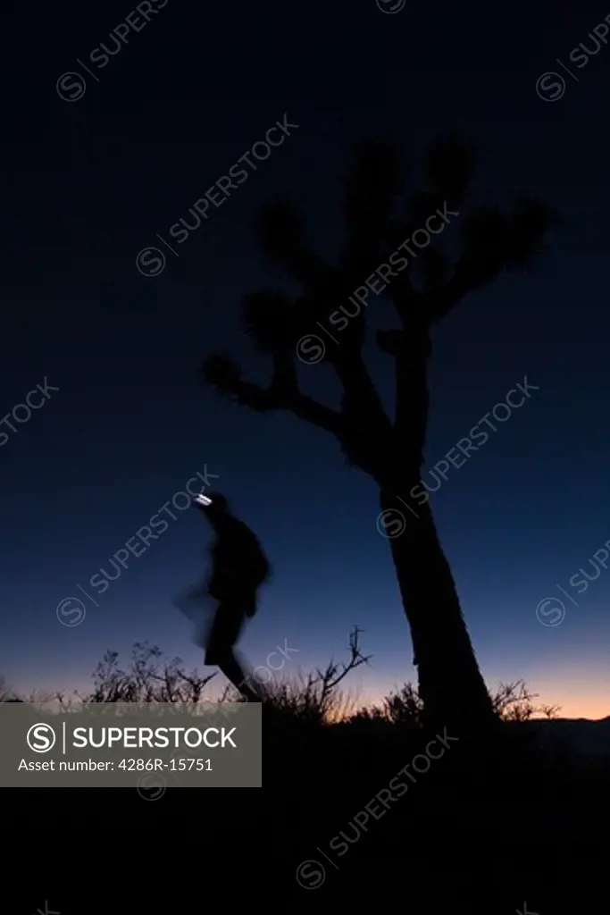 A silhouette of a man hiking by a Joshua Tree at sunset near Lone Pine in California