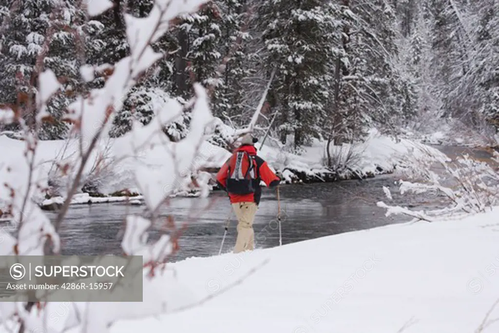 A man snow shoeing along the Truckee river while it snows in Truckee in California
