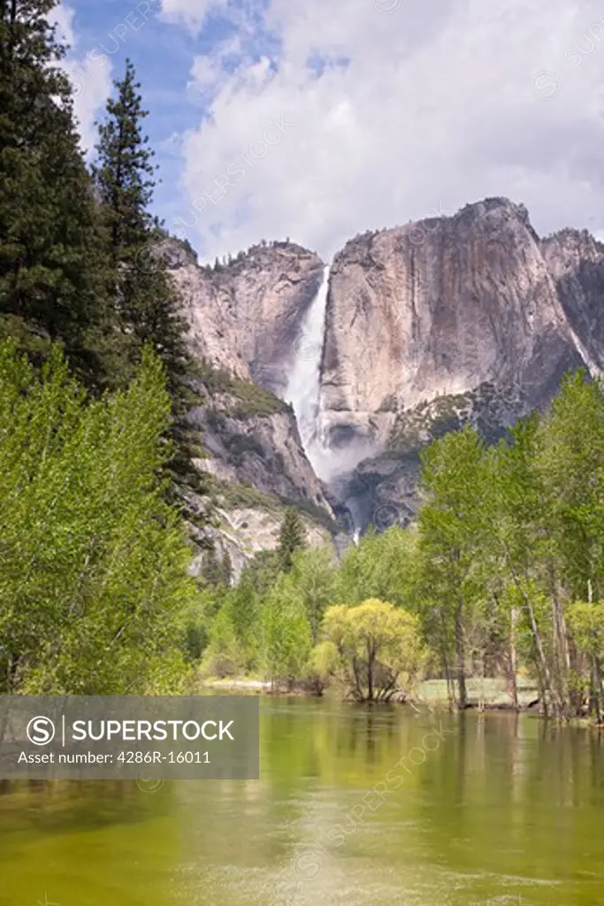 Yosemite falls and the Merced River in the spring in Yosemite National Park in California