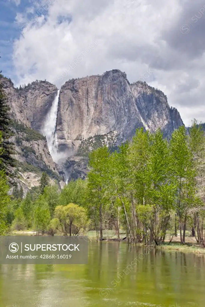 Yosemite falls and the Merced River in the spring in Yosemite National Park in California