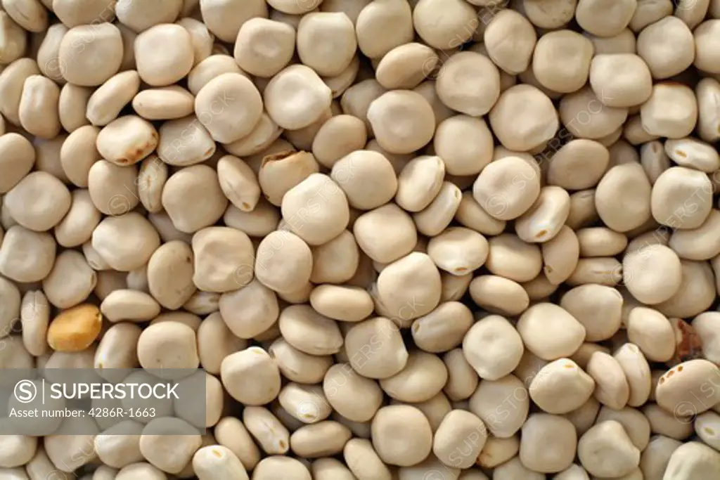 Macro shot of thermos beans, for a background or recipe.
