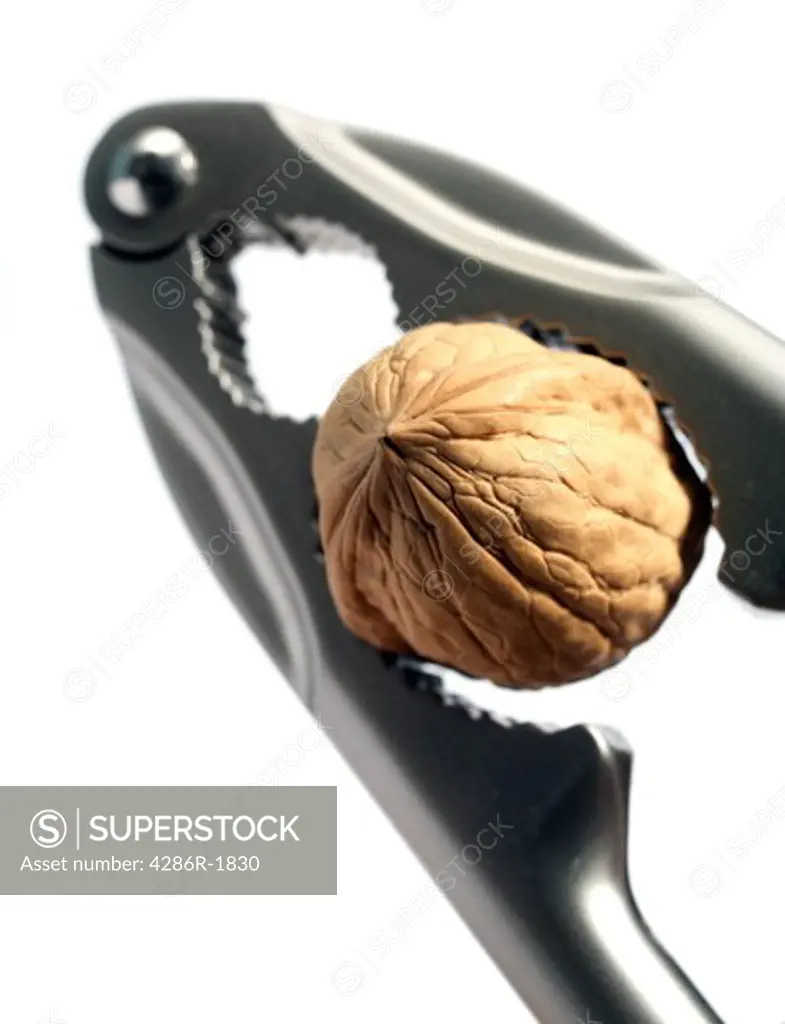 Nutcrackers in use on a walnut