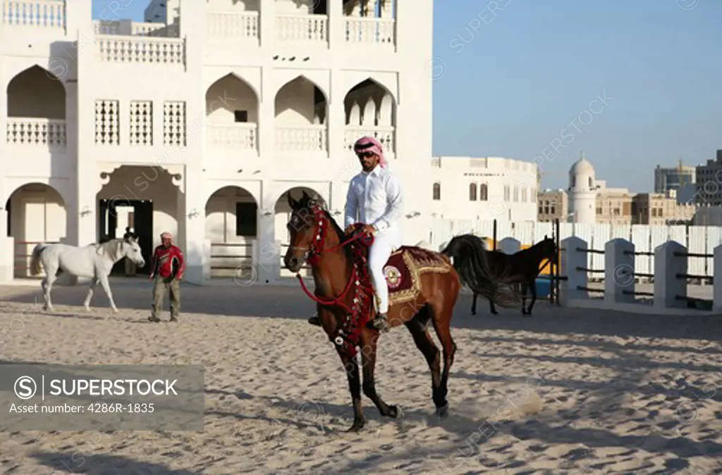 A rider shows off a pure-bred Arab stallion, its saddle adorned with the State of Qatar arms, in a paddock opposite the Emiri Diwan in central Doha, Qatar. The harness and blankets are the traditional arab pattern. The ornate stables in the background are part of the redeveloped Souq Waqif area.